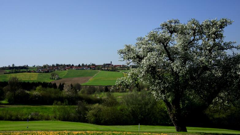 aussicht-kellberrg-von-birnbaum-2012-04-28-diverse-landschaft-020