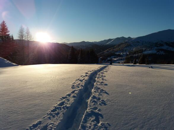 Sonnenuntergang auf der Schöngelitze.
