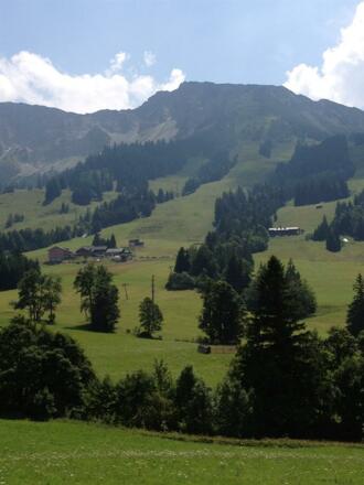Sommer-Panorama Iseler