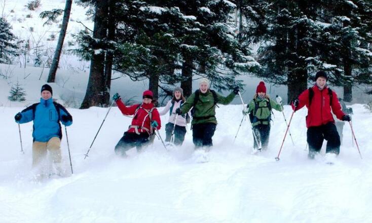 Abstieg zurück ins Tal