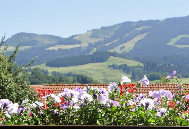 Blick Richtung Sonnenköpfe