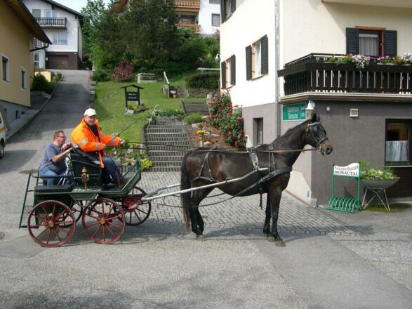 Ausflug mit Pferdekutsche