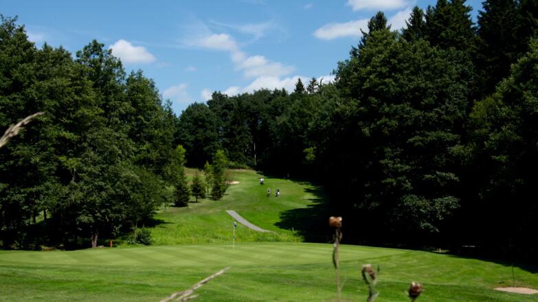 golfen-gr-n-11-2017-07-29-dmm-ak-50-herren-rl-s-d-035