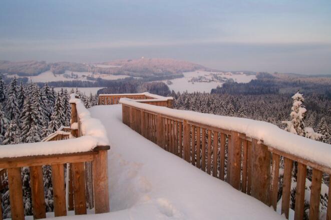 Baumkronenweg Aussichtsplattform