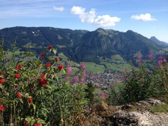 Blick auf Bad Hindelang vom Imberger Horn