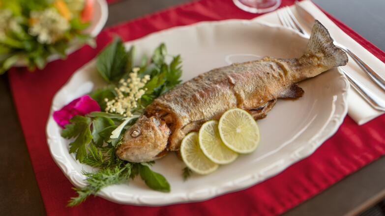 forelle-auf-teller-mf-20170601-mf-20170601-_q6a0652-edit-2