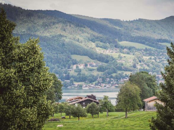 HOTEL BUSSI BABY - Ausblick zum See