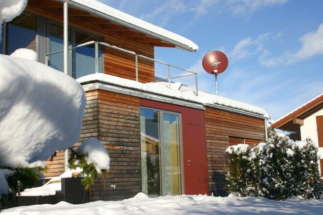 Wohnung Kuh im Schnee