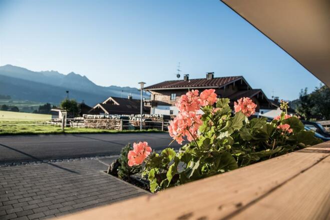 Blick vom Haus Richtung Osten