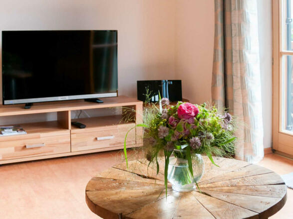 FW Riederstein, Flachbildfernseher