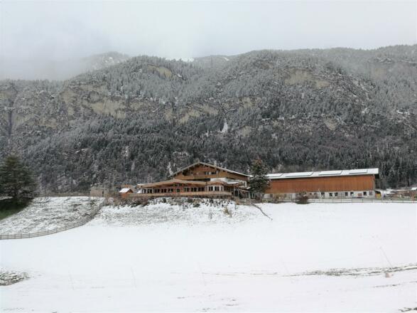 Haflingerhof Winter