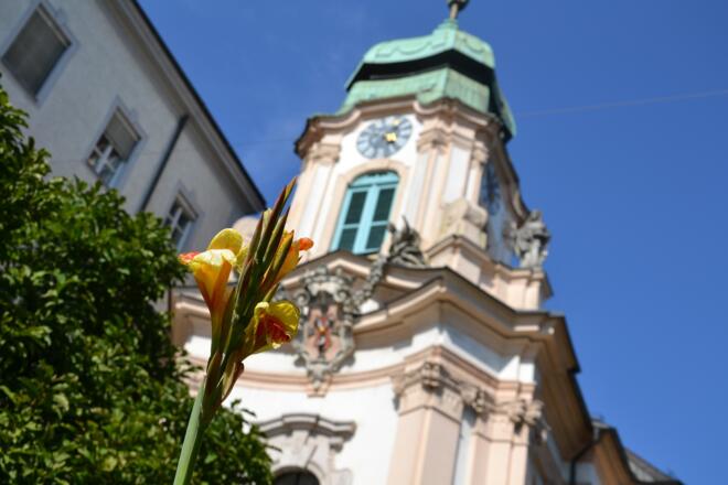 priesterseminarkirche-linztourismus-14