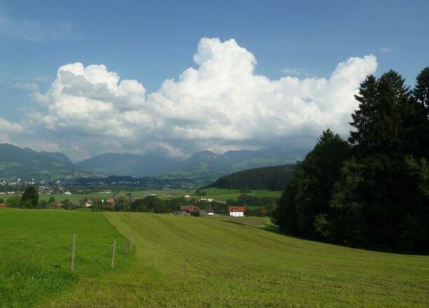 frisch-gemaeht-wiese-unterhalb-des-22319