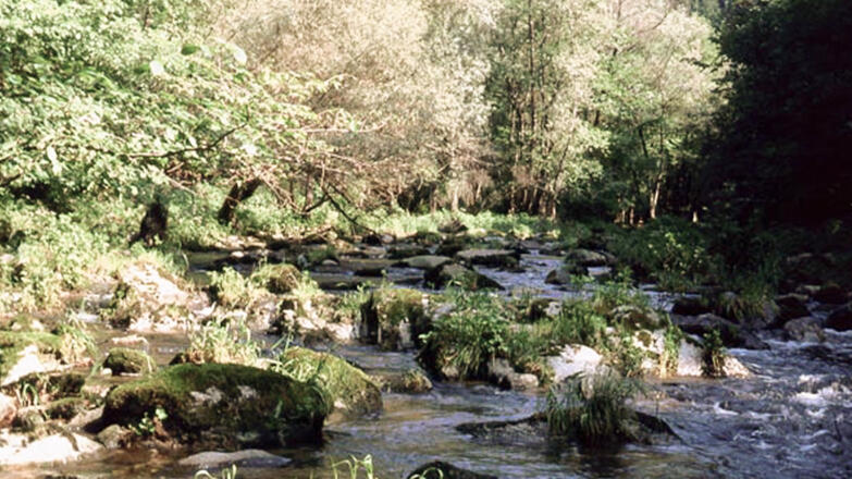 Tal der Großen Mühl