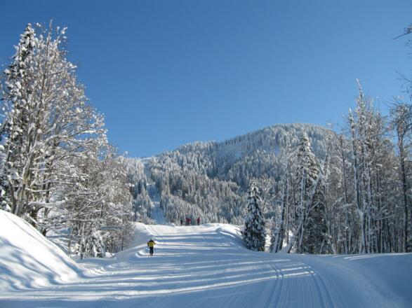 Winterweg_mit_Loipe_g