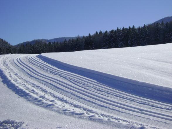 Langlaufloipe Hohenau