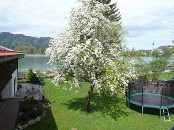 Garten mit Riesentrampolin