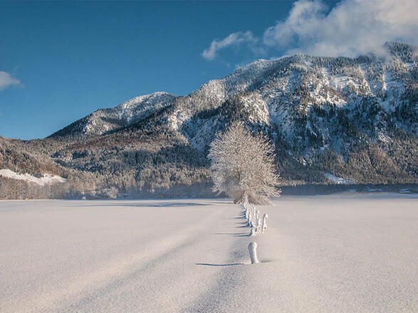 Ferienwohnungen Festlhof in Rottach-Egern am Tegernsee