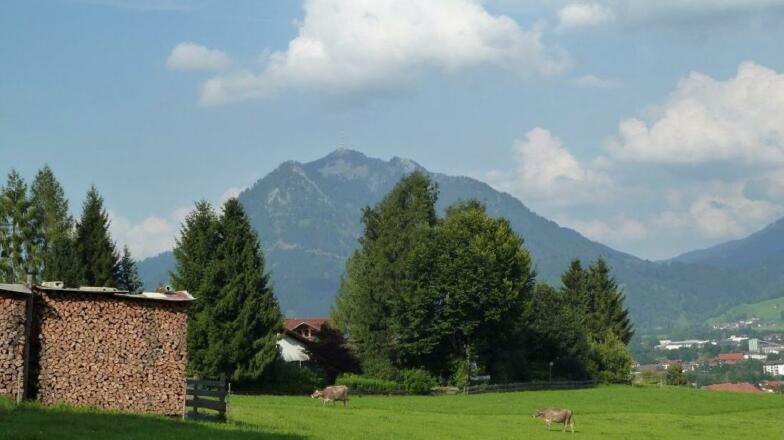 Blick zu Grünten vom Bergblick