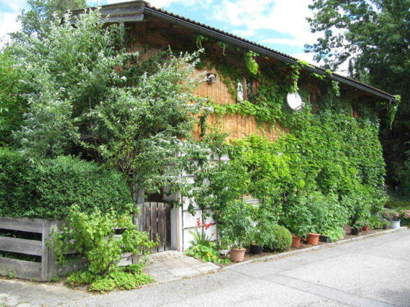 Blick auf die FeWo- Südseite