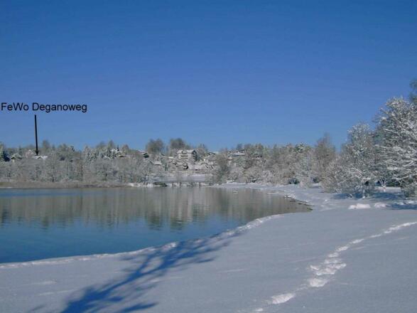 Spuren im Schnee am See