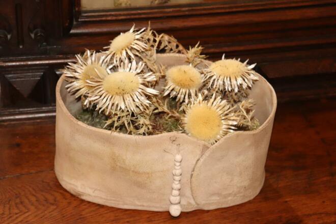 Disteln aus den Allgäuer Alpen