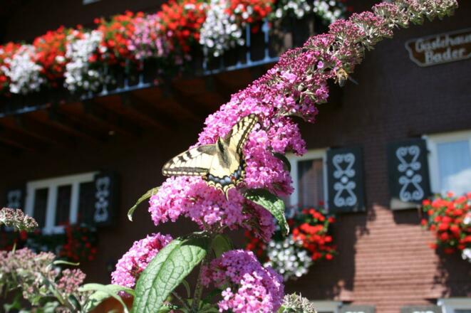 Urlaub in Ofterschwang