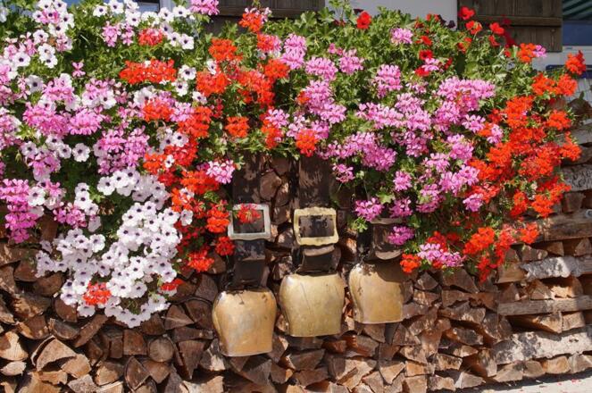 Sommeridylle am Bauernhof