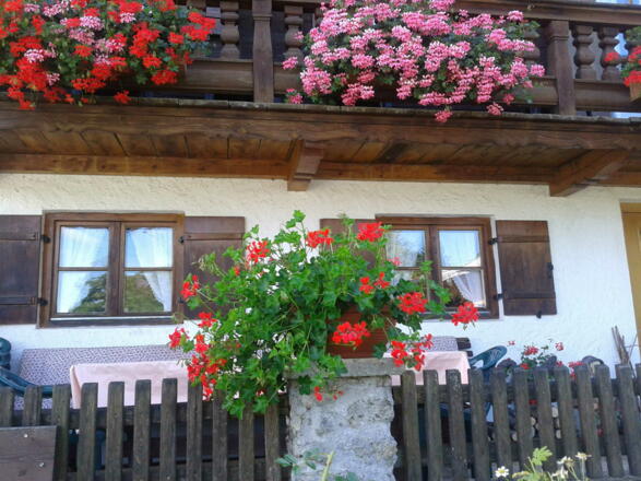 Blumenpracht in Stipfing