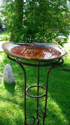 Liebevoll gepflegter Garten