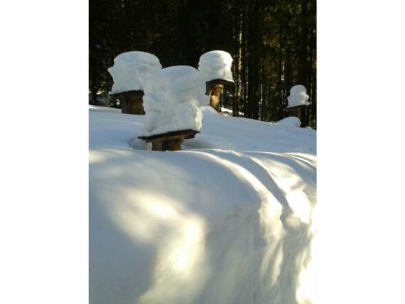 Winterwanderung zur Schwarzentenn