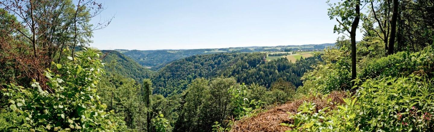 Panoramablick Verlorenes Reith, Pfarrkirchen