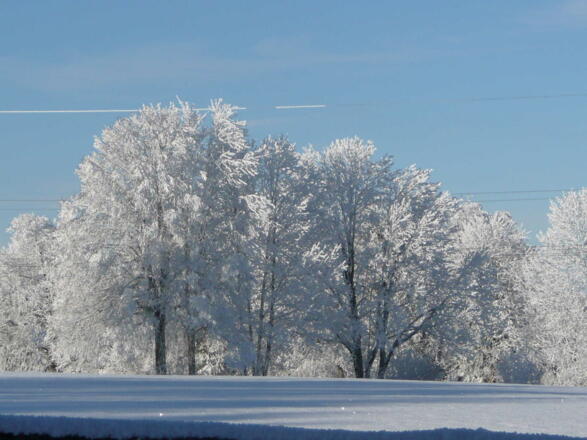 Winterlandschaft