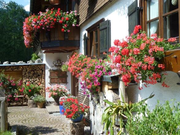 Blumenpracht im Sommer