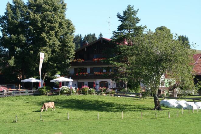 Bauerngasthof Cafe Mayr - ruhige Lage