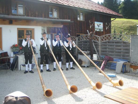 Alphornblasen beim Wildpark