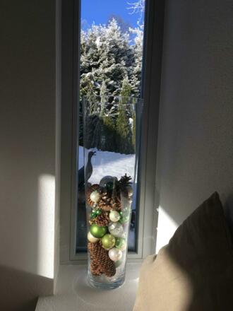 Blick nach außen (zur Eingangsseite) von der Kaminbank aus