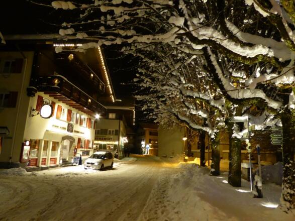 Winteridylle Fischen