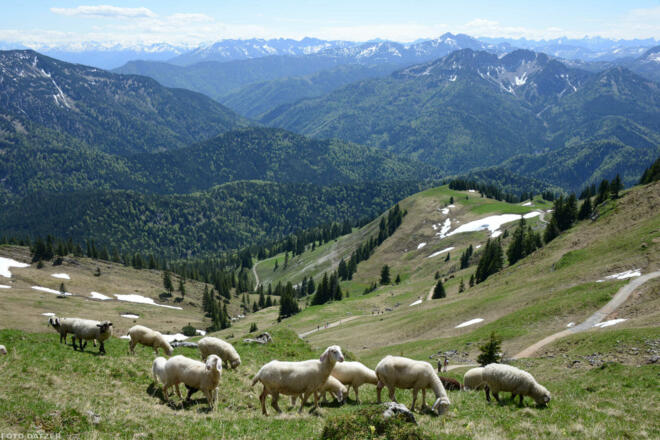Wanderung auf unsere Berge