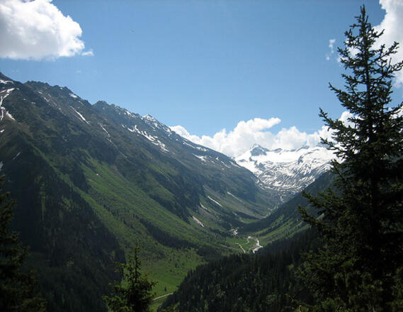 Toller Ausblick in das Obersulzbachtal