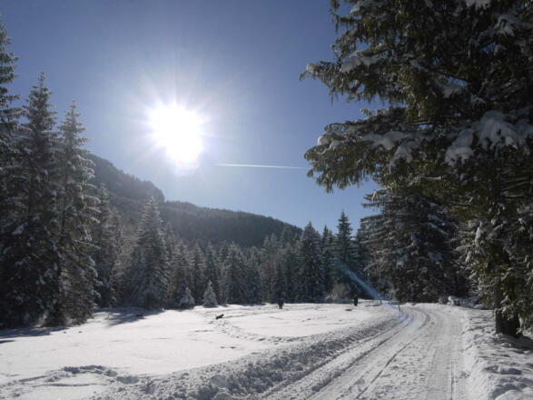 Winterspaziergänge vor der Haustüre