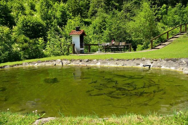 Garten mit Teich und Grillplatz