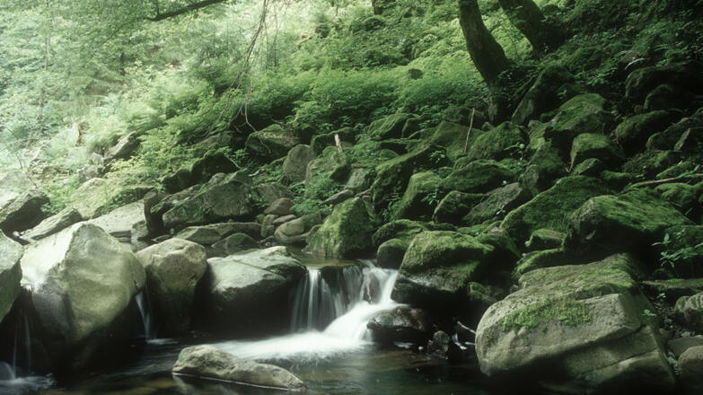 Rannatal - Bachbett der Ranna