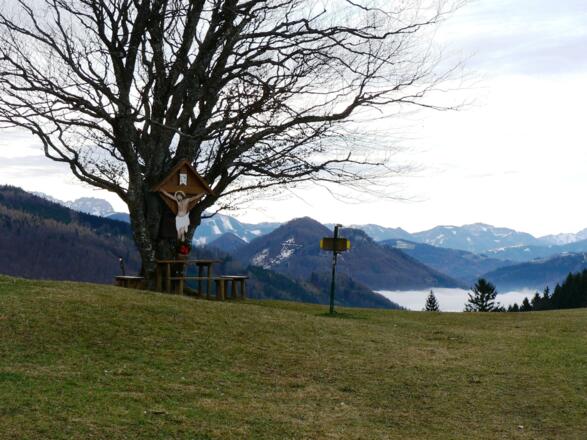 Ein ganz besonderer Platz