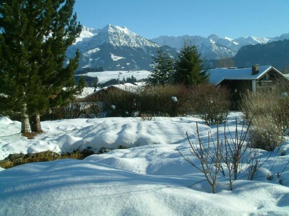 Blick über den Garten