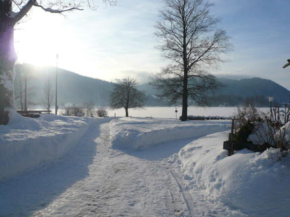 Traumhafte Winterlandschaft