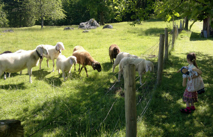 direkt vor der Haustür