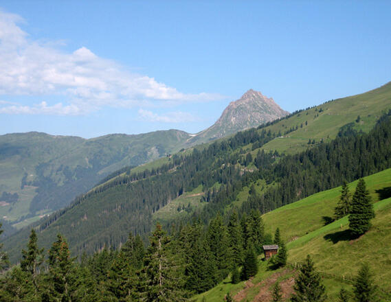 Der Gr. Rettenstein im Wildkogelgebiet - 2.363 m