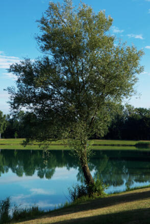 Badeseen Feldkirchen an der Donau