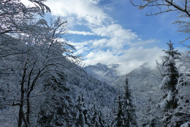 Winter in den Bergen